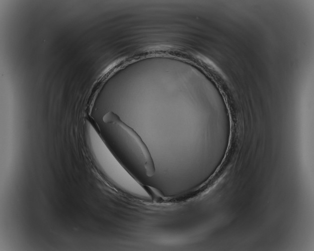 X0000086020921200704131846