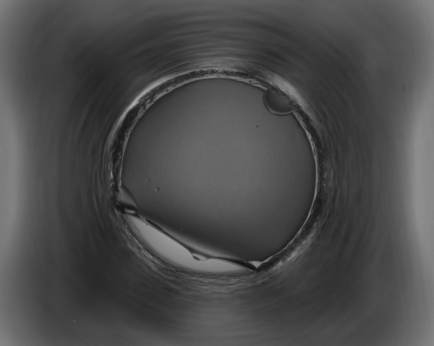X0000086020923200704131847