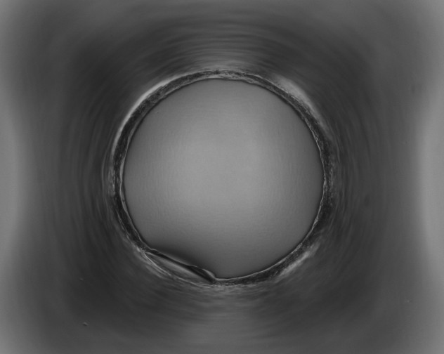 X0000086020924200704131847