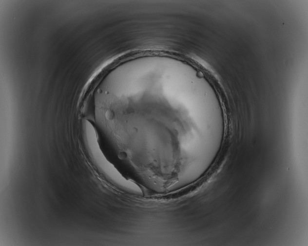 X0000086020925200704131847