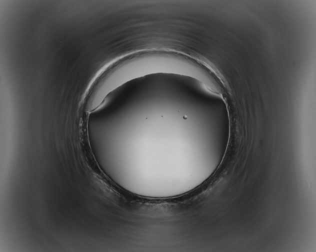 X0000086020926200704131847