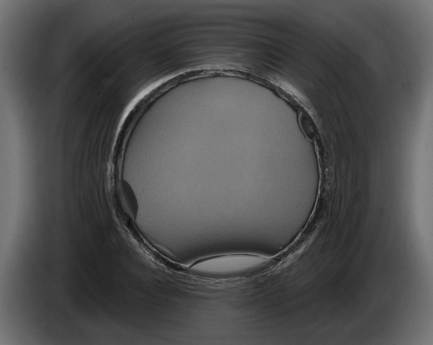 X0000086020928200704131847