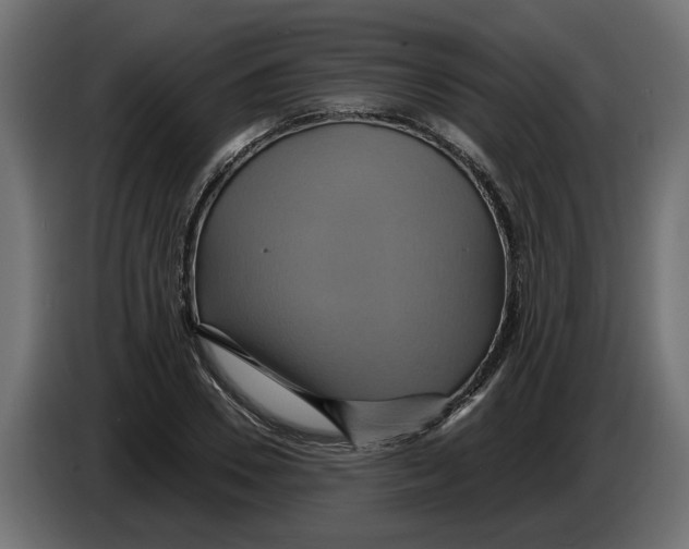 X0000086020930200704131847