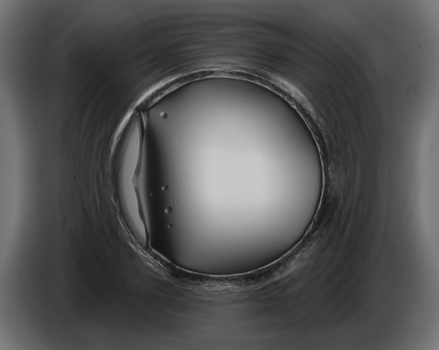 X0000086020931200704131847