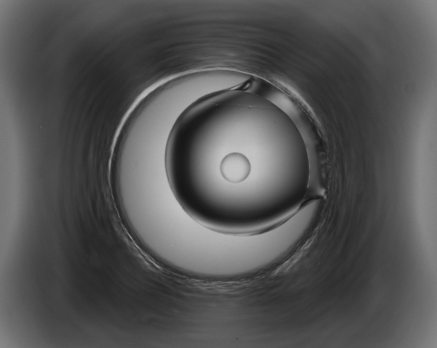 X0000086020932200704131847