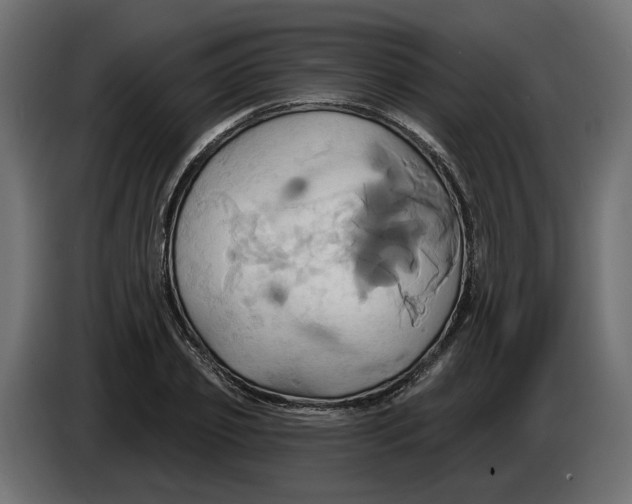 X0000086020933200704131847