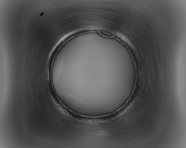 X0000086020934200704131847