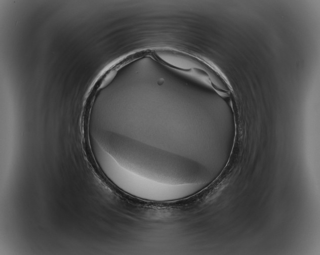 X0000086020935200704131847