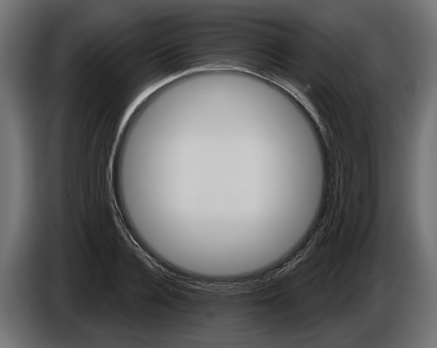 X0000086020936200704131847