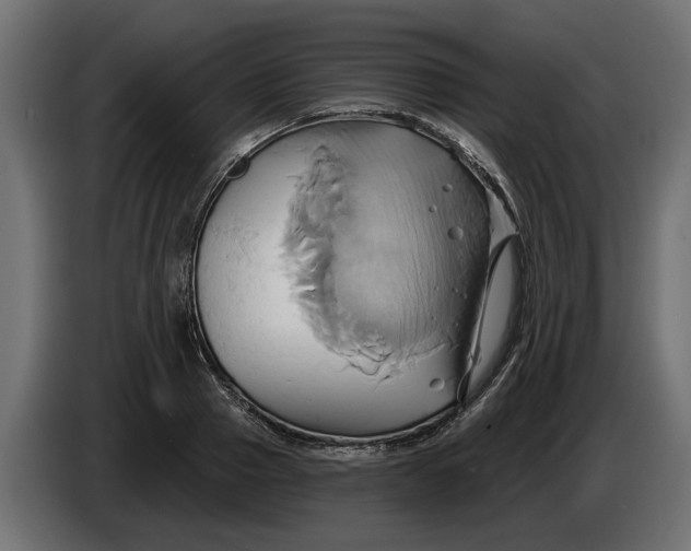X0000086020937200704131847