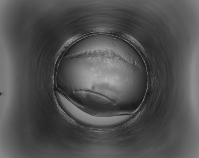 X0000086020938200704131847