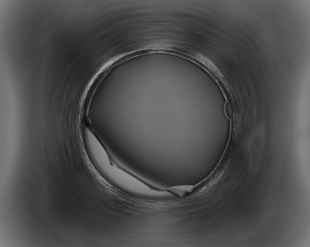 X0000086020939200704131847