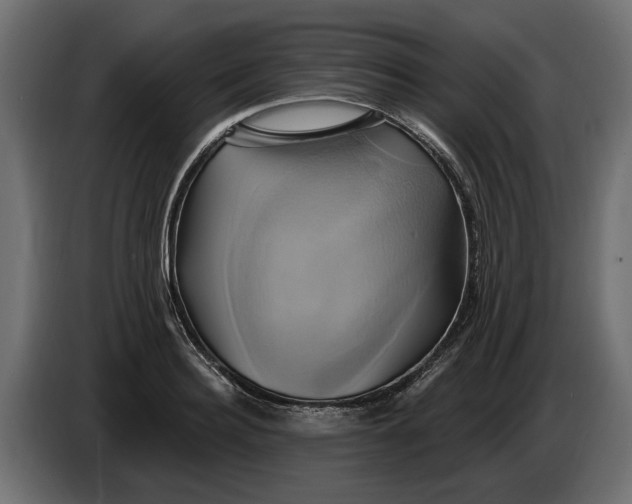 X0000086020940200704131847