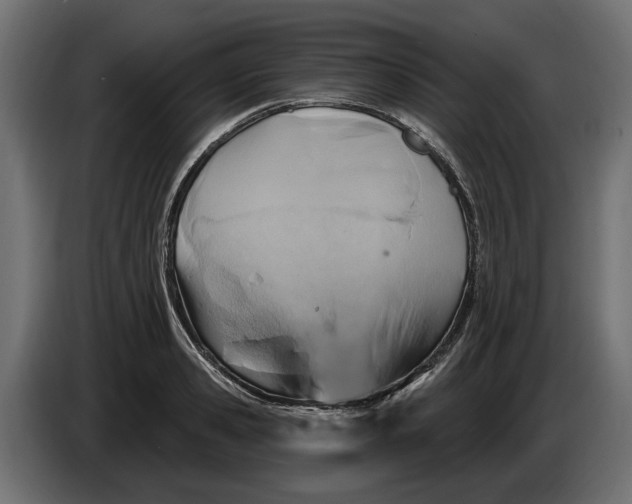 X0000086020941200704131847