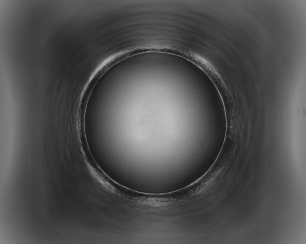 X0000086020942200704131847