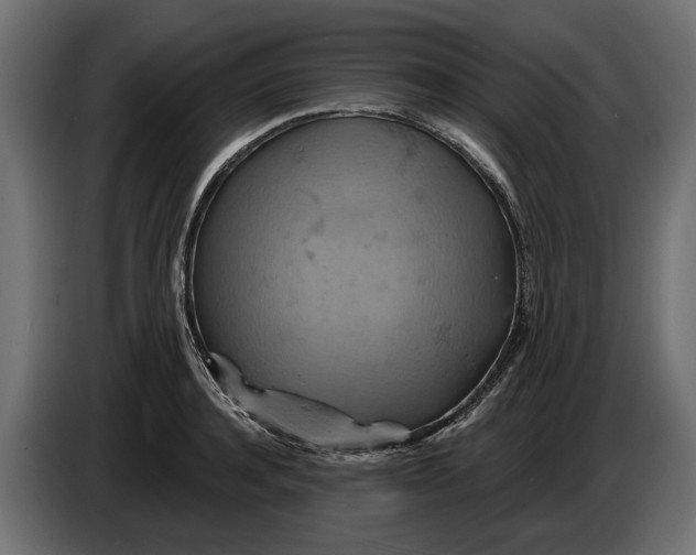 X0000086020944200704131847