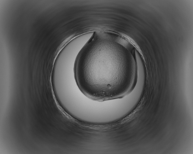 X0000086020946200704131847