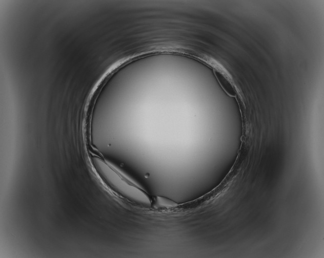 X0000086020947200704131847