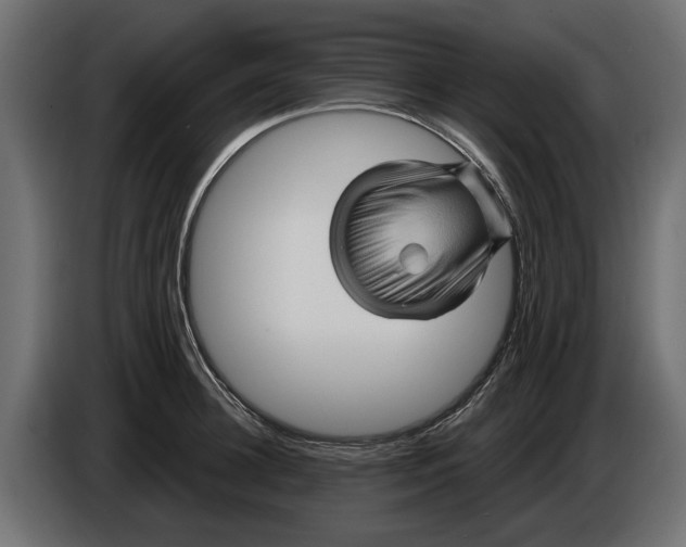 X0000086020948200704131847