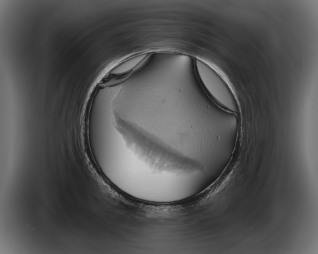 X0000086020949200704131847