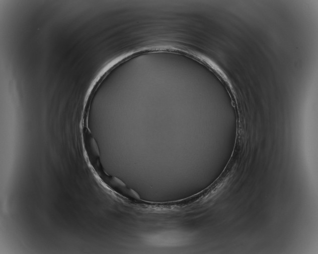 X0000086020951200704131847