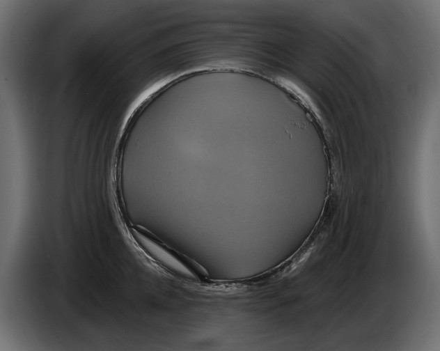 X0000086020952200704131847