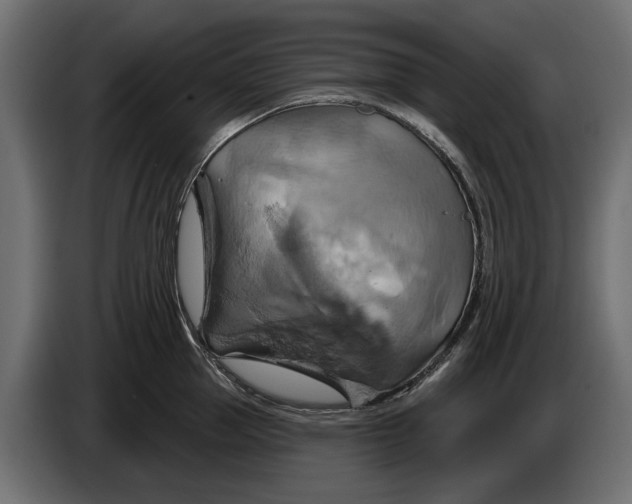 X0000086020953200704131847