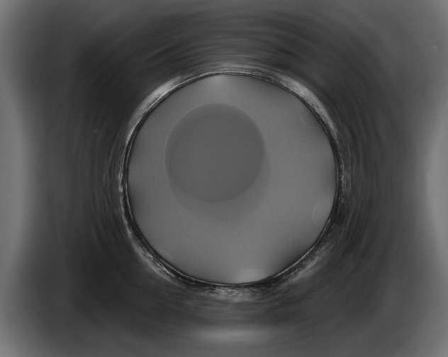 X0000086020954200704131847