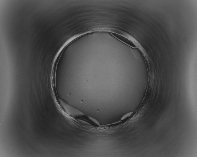 X0000086020955200704131847