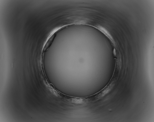 X0000086020956200704131847
