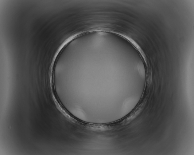 X0000086020957200704131847