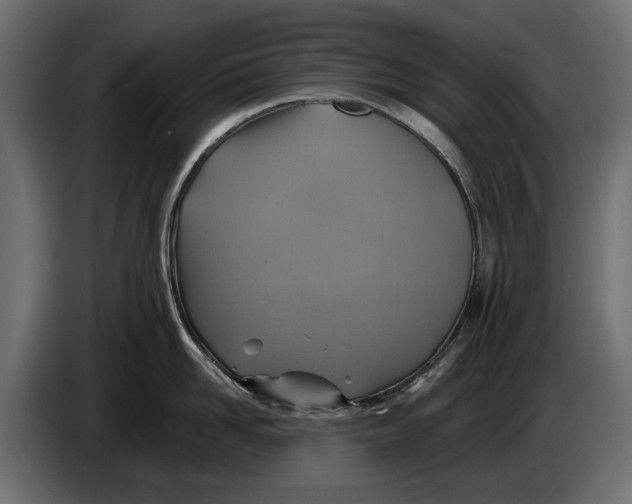 X0000086020958200704131847