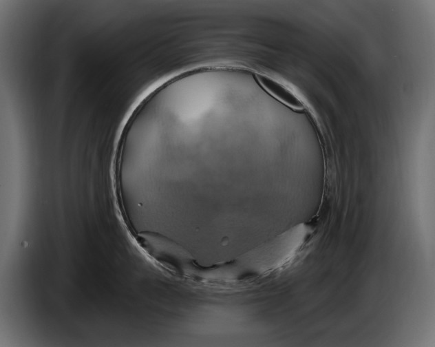 X0000086020959200704131847