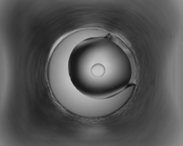 X0000086020960200704131847