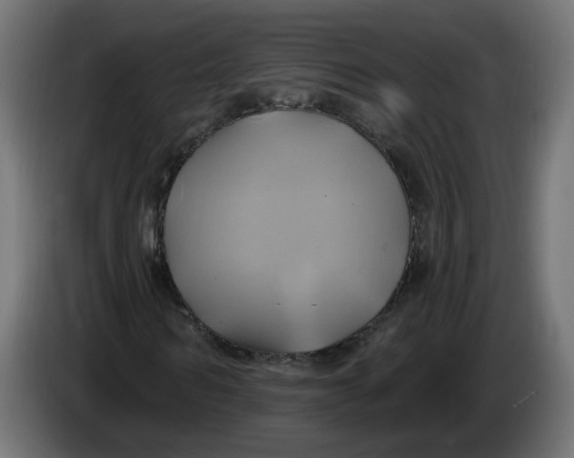 X0000086020962200704131846