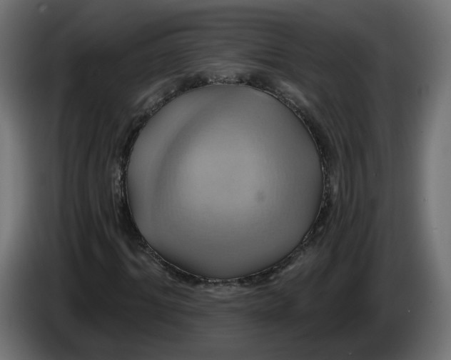 X0000086020964200704131846