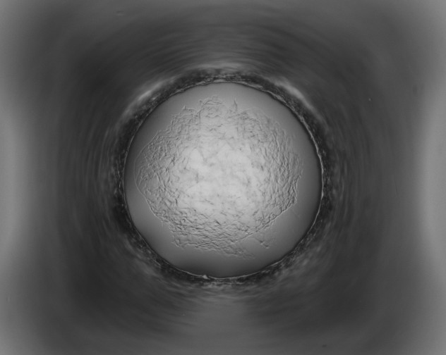 X0000086020967200704131846
