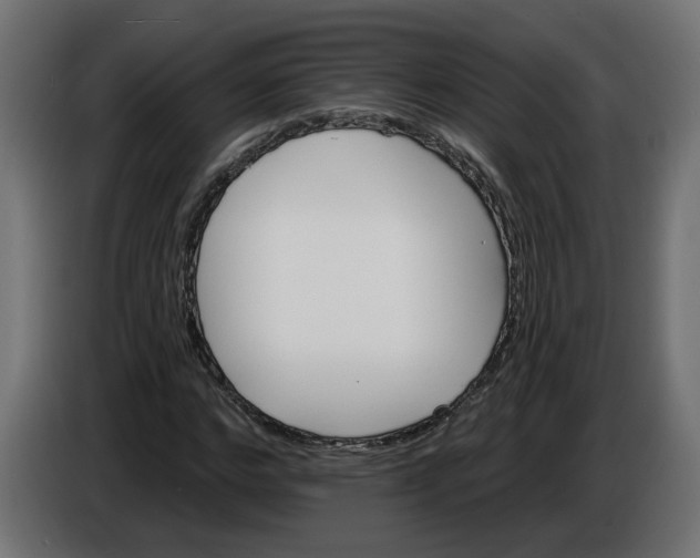 X0000086020968200704131846