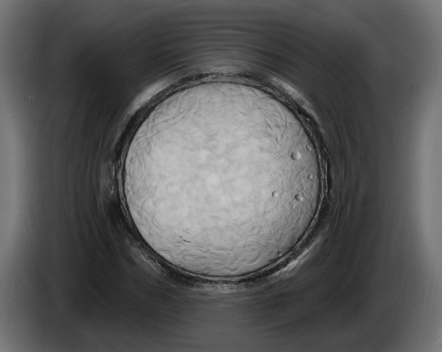 X0000086020970200704131846