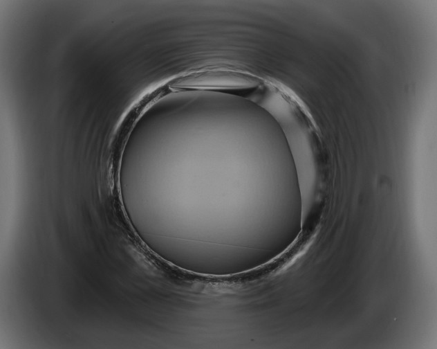 X0000086020973200704131846