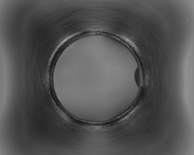 X0000086020976200704131846