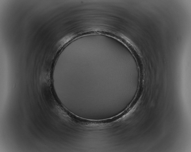X0000086020977200704131846