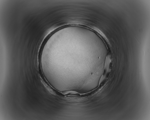 X0000086020980200704131846