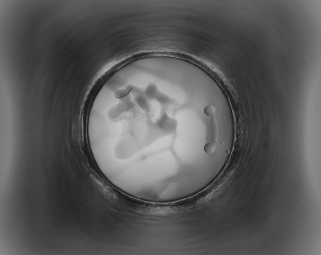 X0000086020982200704131846