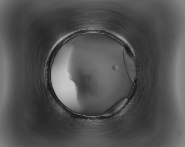 X0000086020983200704131846