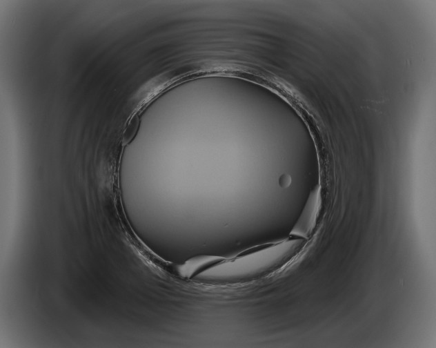 X0000086020985200704131846