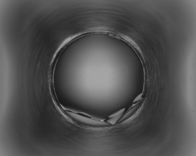 X0000086020989200704131846