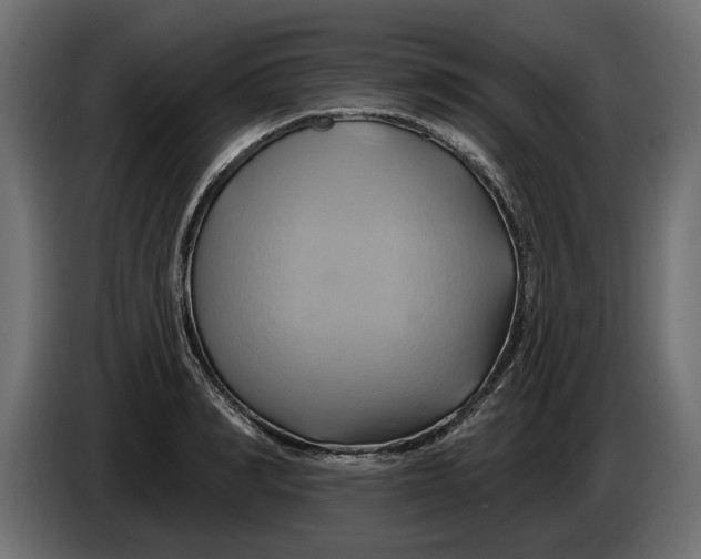 X0000086020990200704131846