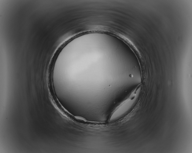 X0000086020991200704131846