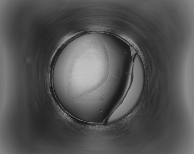 X0000086020992200704131846
